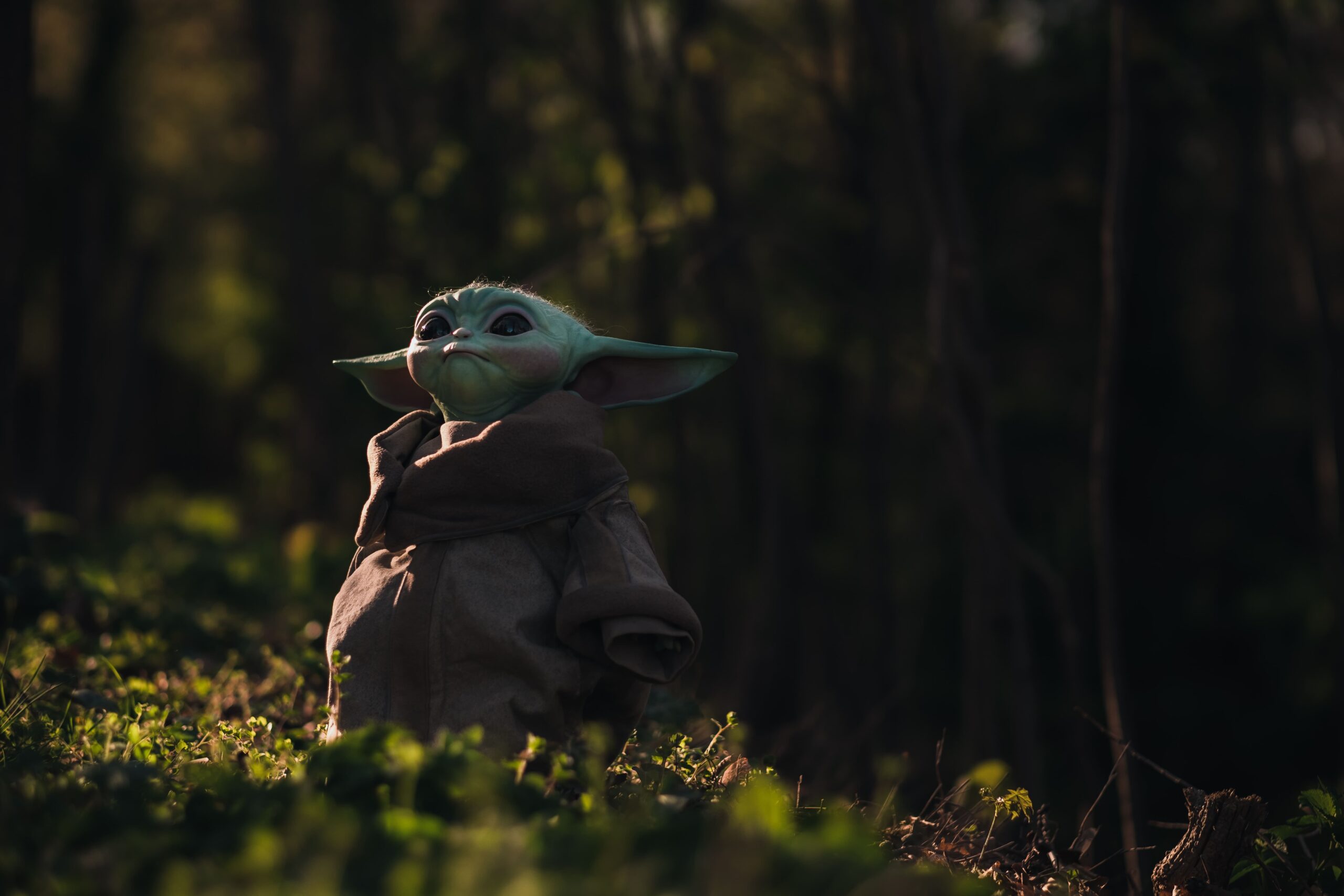 Baby Yoda